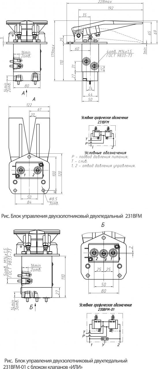       231BFM:  2